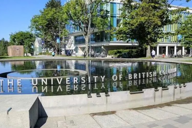 ubc是什么大学