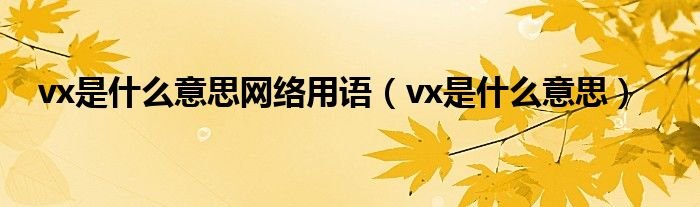 vx是什么意思网络用语vx是什么意思