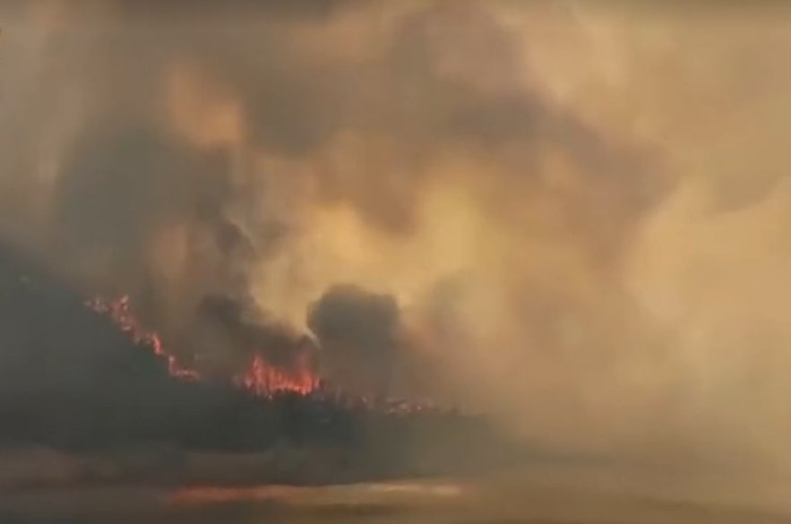 青岛大珠山风景区附近发生山火，是否有造成了人员伤亡情况？