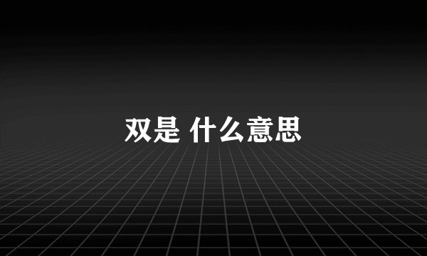 双是 什么意思