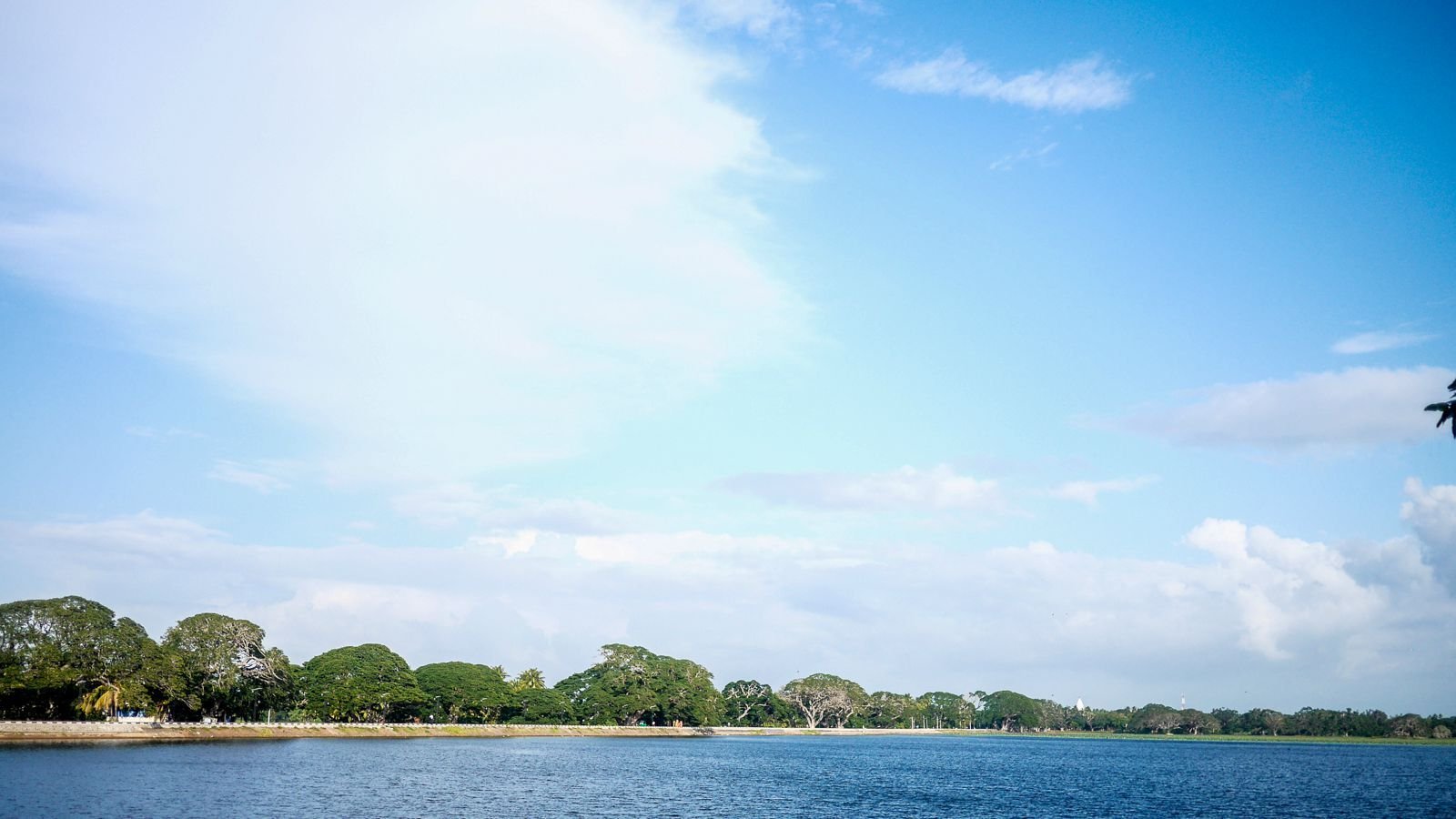 兰卡壁纸的施工指南