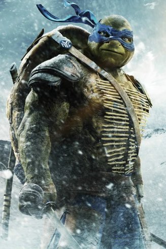 关于《忍者神龟》的名字有哪些?