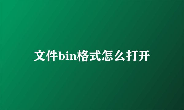 文件bin格式怎么打开