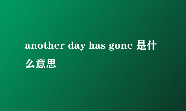 another day has gone 是什么意思