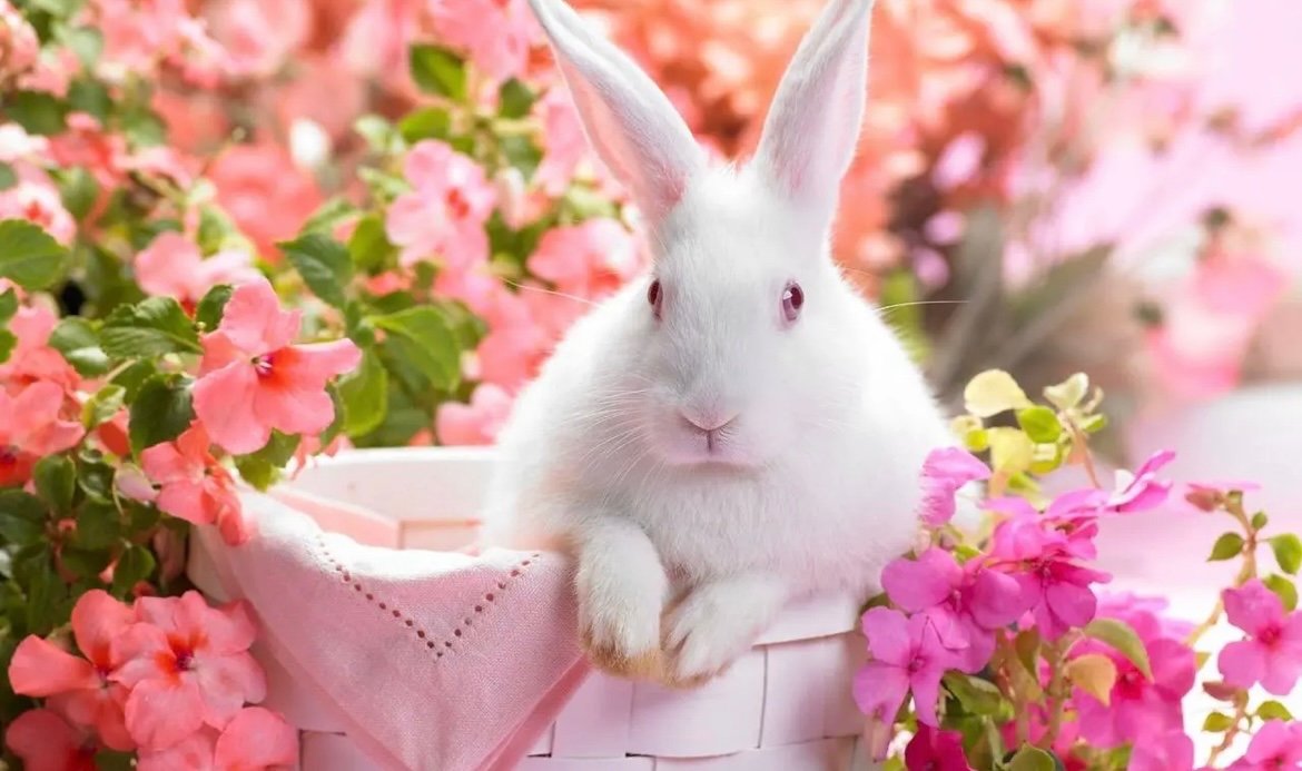 暮夜无知近义词