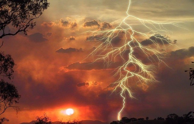 “造物无言却有情，每于寒尽觉春生。”出自哪首诗