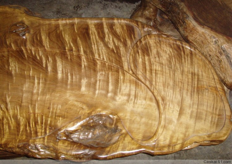 金丝楠木树叶是什么样子?谢谢