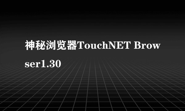 神秘浏览器TouchNET Browser1.30