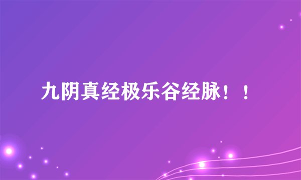 九阴真经极乐谷经脉！！