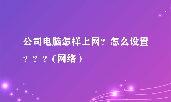 公司电脑怎样上网？怎么设置？？？(网络）