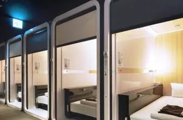 我的xl上司未增删带翻译中文