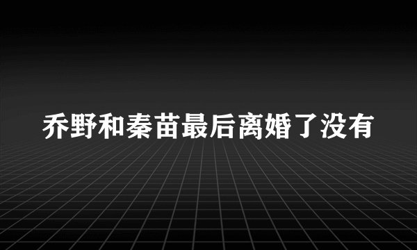 乔野和秦苗最后离婚了没有