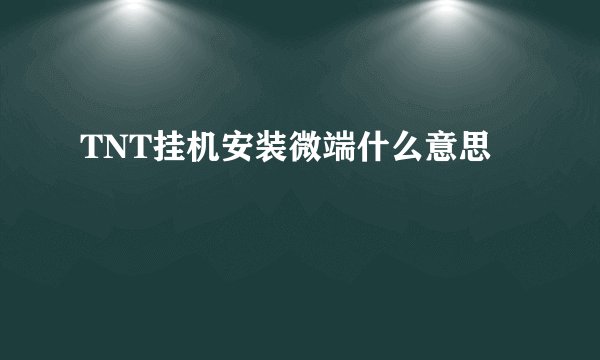 TNT挂机安装微端什么意思