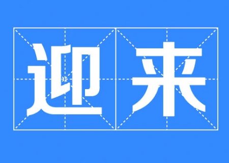 迎来后面跟什么词合适