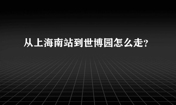 从上海南站到世博园怎么走？