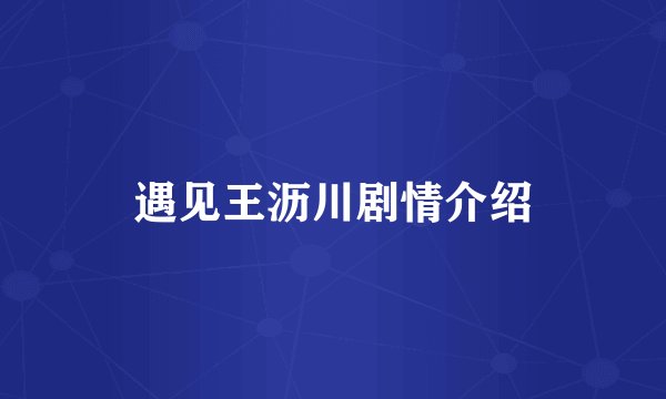 遇见王沥川剧情介绍
