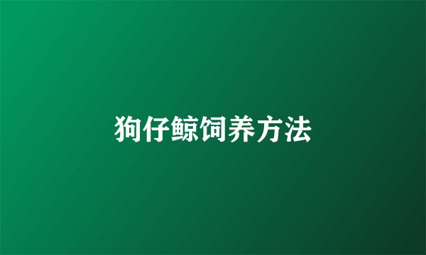 狗仔鲸饲养方法