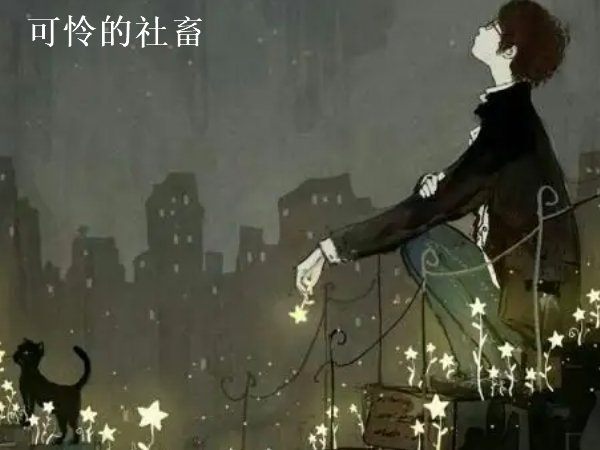 可怜的社畜 东度日讲的什么