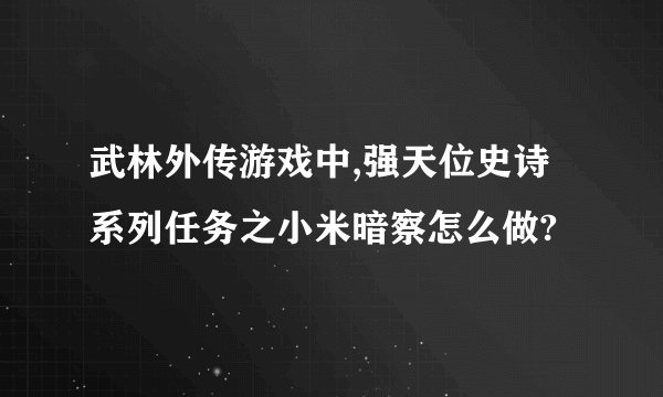 武林外传游戏中,强天位史诗系列任务之小米暗察怎么做?