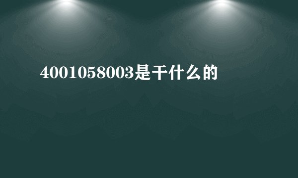 4001058003是干什么的
