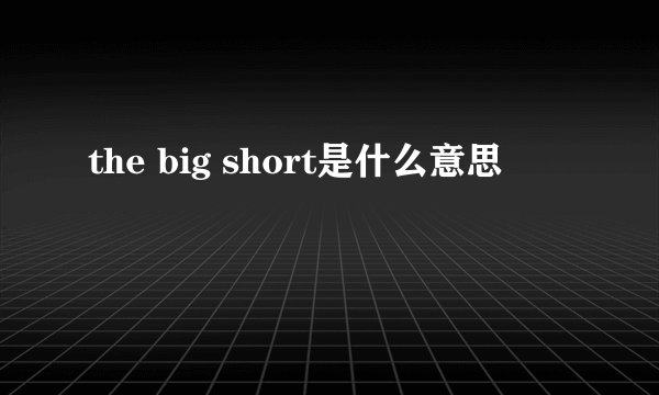 the big short是什么意思