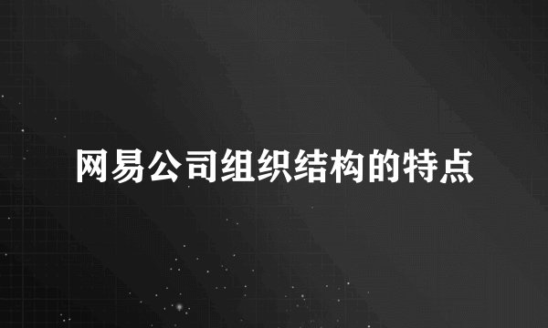 网易公司组织结构的特点