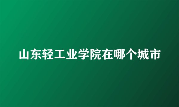 山东轻工业学院在哪个城市