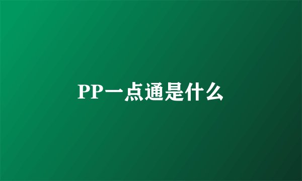 PP一点通是什么