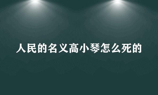 人民的名义高小琴怎么死的