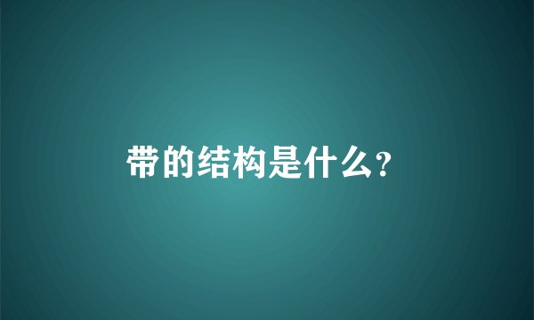 带的结构是什么？