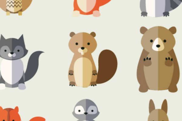 非洲之王是什么动物?