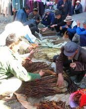 赶集是什么意思