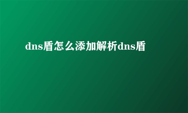 dns盾怎么添加解析dns盾