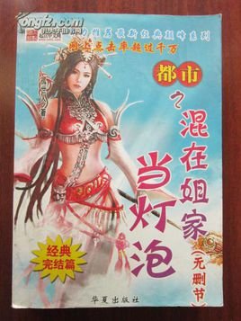 混在姐家当灯泡的介绍