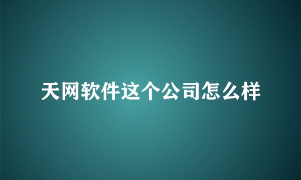 天网软件这个公司怎么样