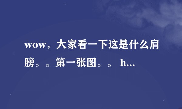 wow，大家看一下这是什么肩膀。。第一张图。。 http://wow.178.com/201205/131591766378_5.html