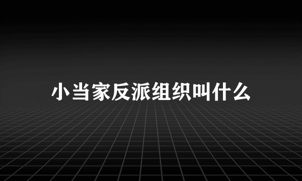 小当家反派组织叫什么