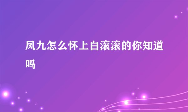 凤九怎么怀上白滚滚的你知道吗