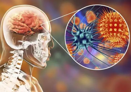 我国发现了多例新型尼帕病毒感染者，该病毒会对身体造成哪些危害？