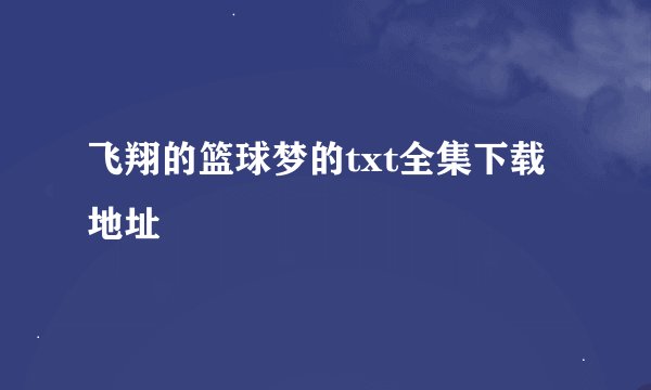 飞翔的篮球梦的txt全集下载地址