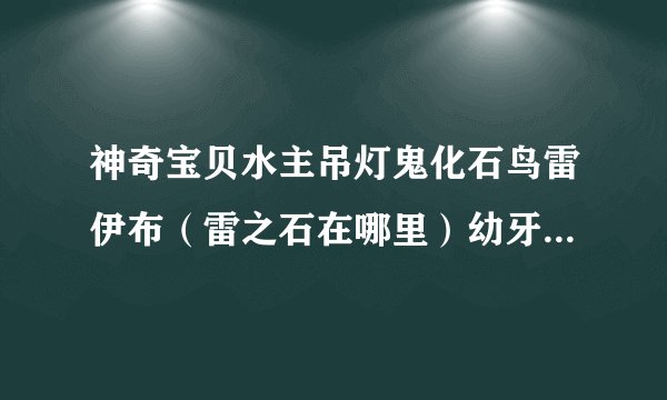 神奇宝贝水主吊灯鬼化石鸟雷伊布（雷之石在哪里）幼牙龙加个黑白神兽配招