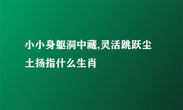 小小身躯洞中藏,灵活跳跃尘土扬指什么生肖