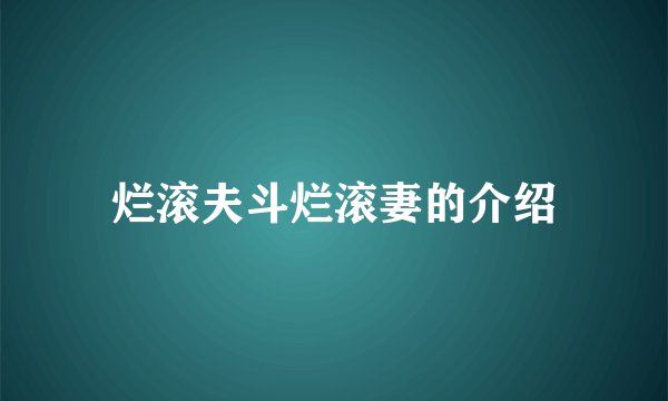 烂滚夫斗烂滚妻的介绍