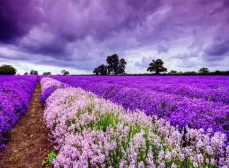 心情好又暖的句子有哪些?