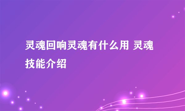 灵魂回响灵魂有什么用 灵魂技能介绍