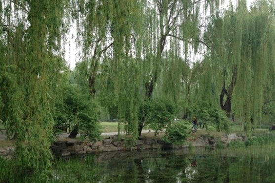 春天古诗最好的10首