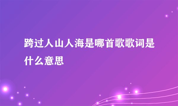 跨过人山人海是哪首歌歌词是什么意思