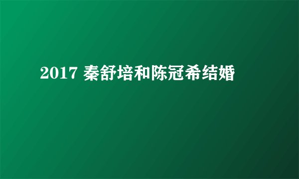2017 秦舒培和陈冠希结婚