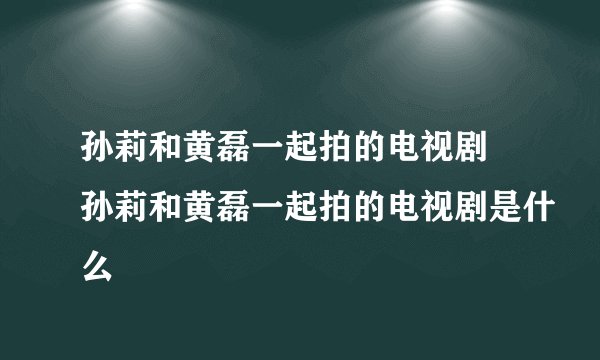 孙莉和黄磊一起拍的电视剧 孙莉和黄磊一起拍的电视剧是什么