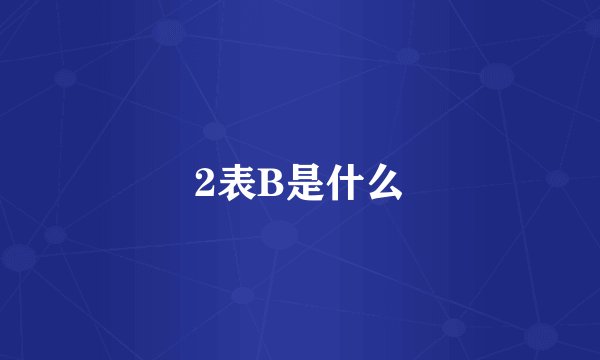 2表B是什么